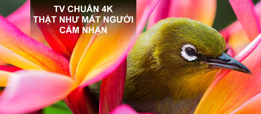 Độ phân giải 4k