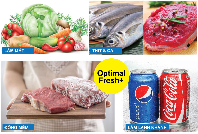 Optimal Fresh+